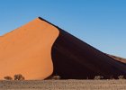 Mike Smith_Dune 45 Namib Desert.jpg